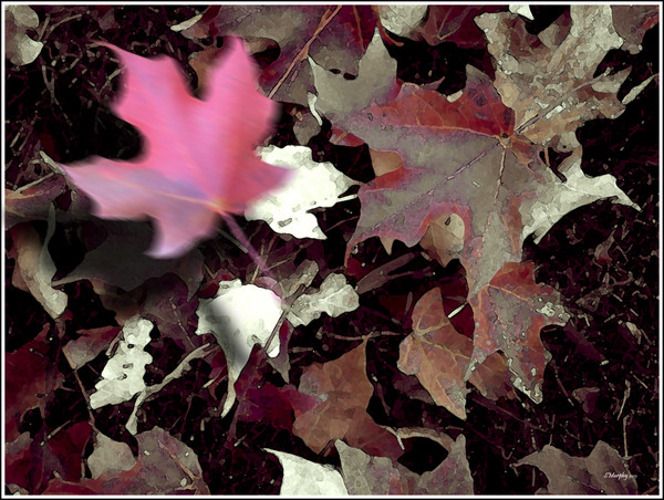 Season's End