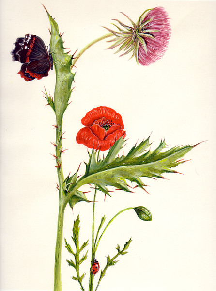 Thistle with lodgers.