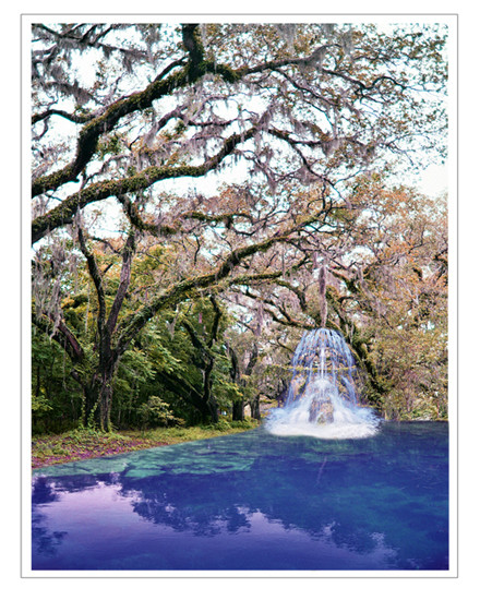 Ancestral Stream
