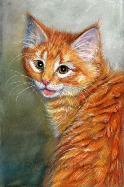 GINGER KITTEN