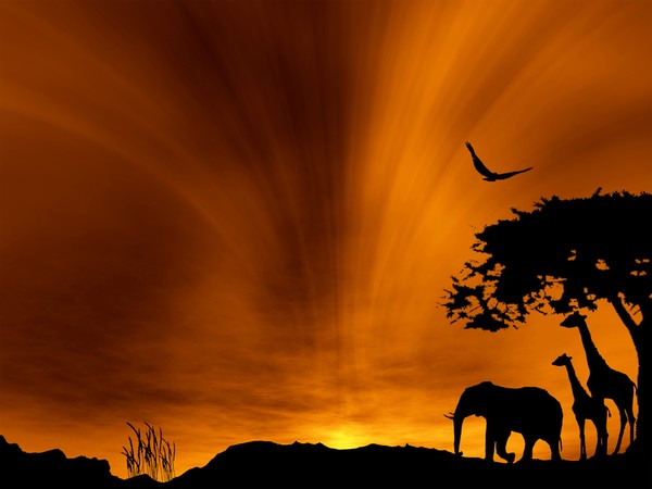 SILHOUETTE