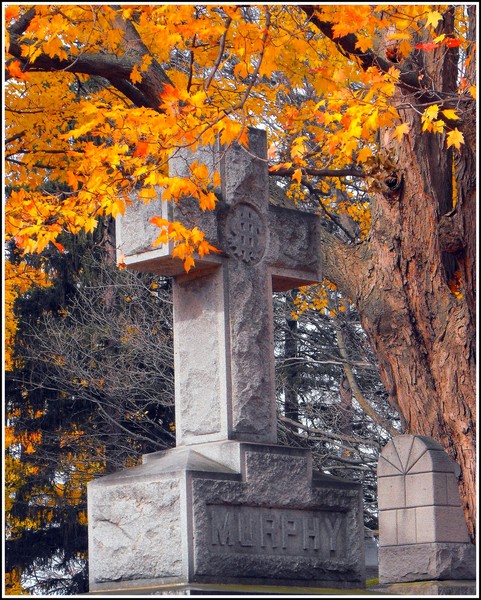 Murphys Cross