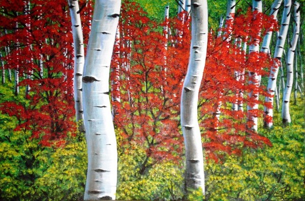 Fall colors