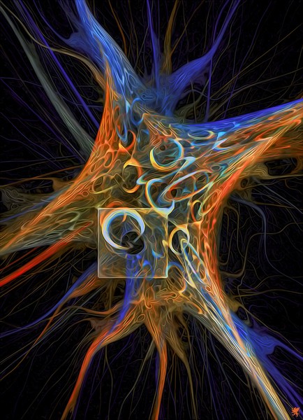 THE NERVE NET