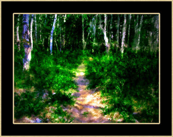 The Path