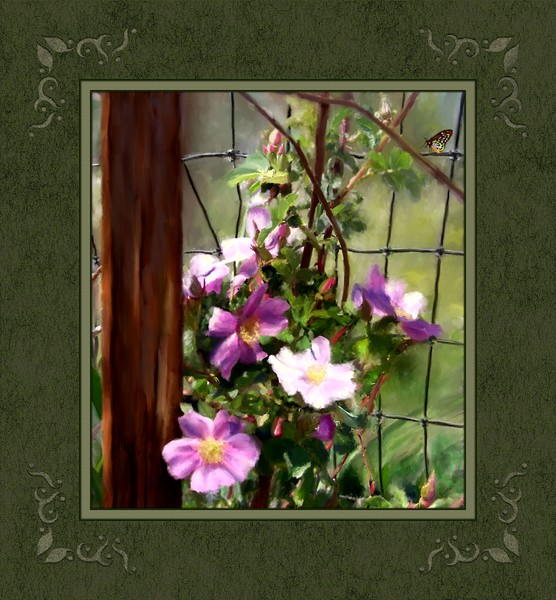 Growing Wild