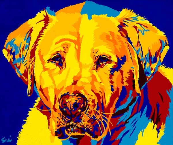 Jake