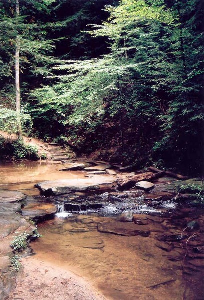Wilderness