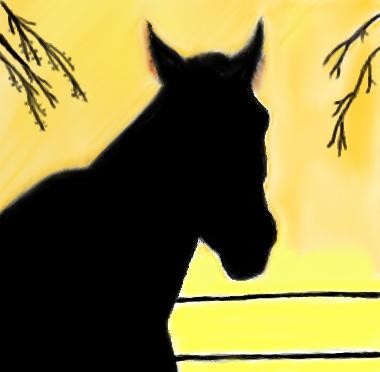 A Colt at Sunset