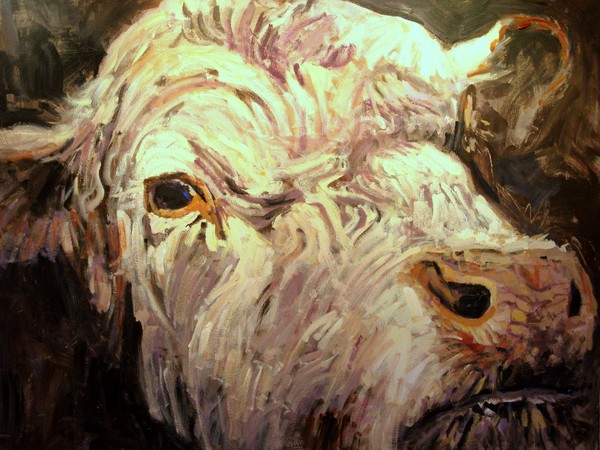 BULL