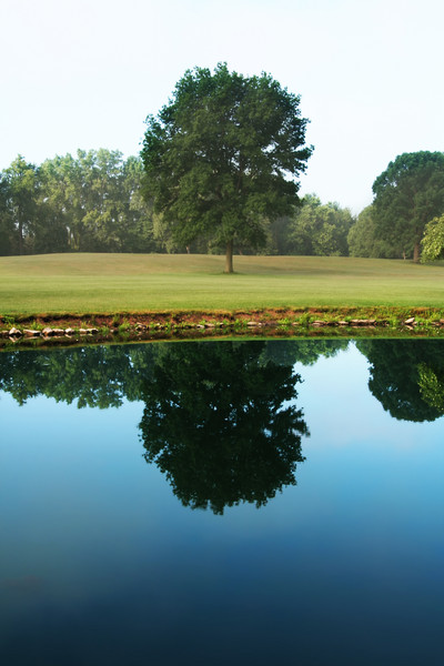 Reflecting Pond
