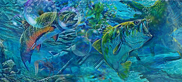 Riffle Bubbles  *  2019 Kiddolucaslee