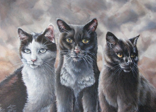 Cats - commission