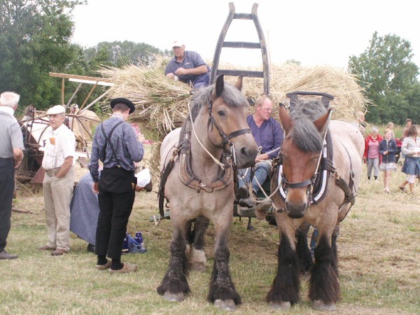 First machines to bundle the hay 1