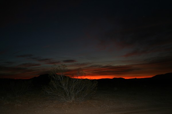 Rising Light