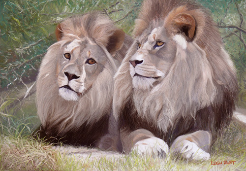 Regal Pride