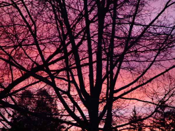 Winter Sky