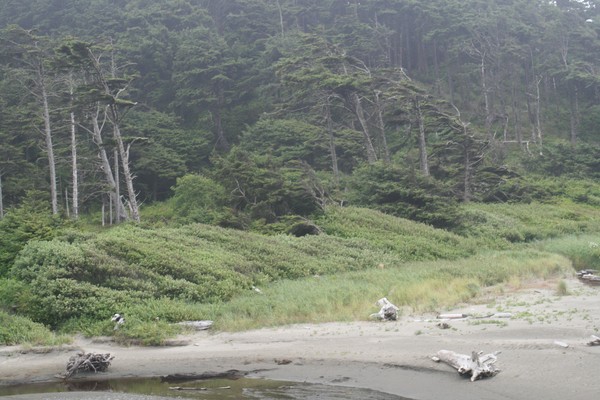 Iron Springs on the Washington Coast