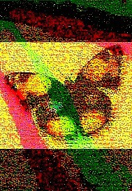 Collage Butterfly Over the Rainbow