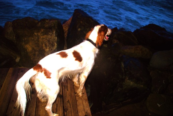 Molly Marvels at The Gift from The Sea