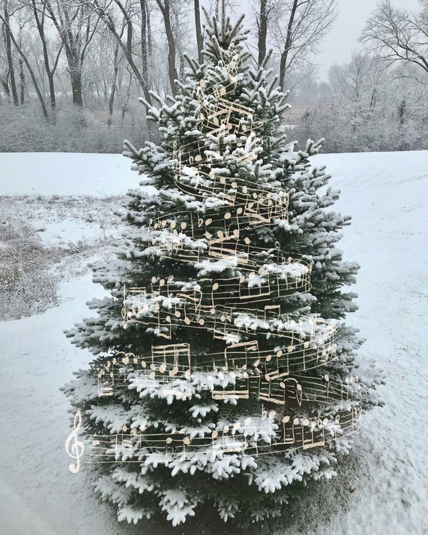 o tannenbaum