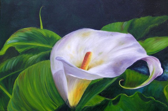 White Elegance