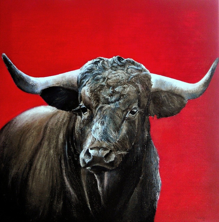 Toro Bravo 