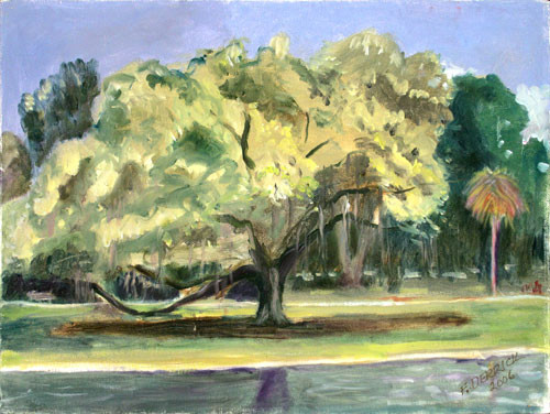 Oaks at Hampton Park, Charleston SC