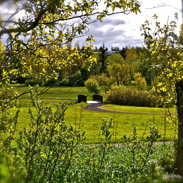 Something warm and green !