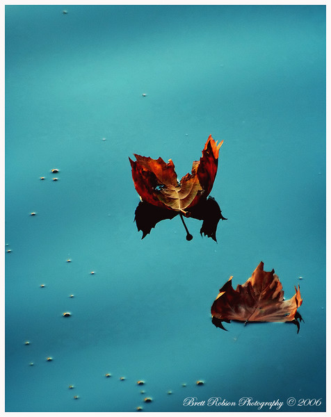 Vela Via
