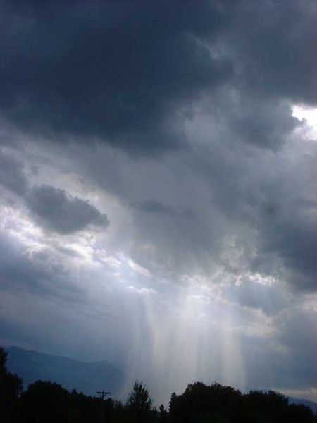 Sun Shower