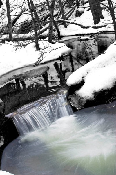 winter visit