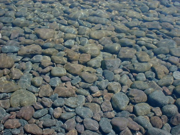 Still Waters