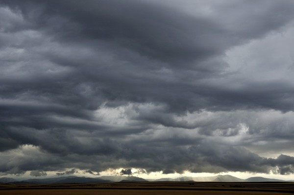 Before The Deluge