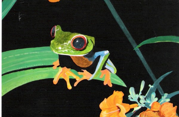 tree Frog