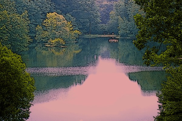 Reflection in the Pond