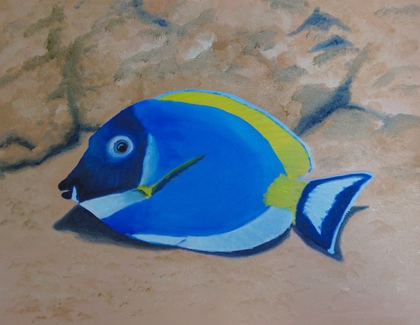 Blue Tang