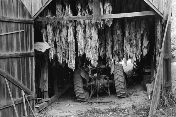 Out to Dry