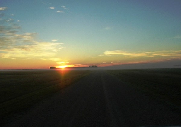 Fog and the morning sunrise