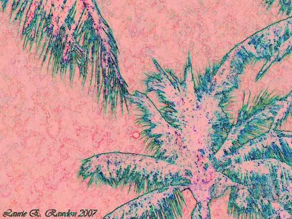 Palms in the Night?