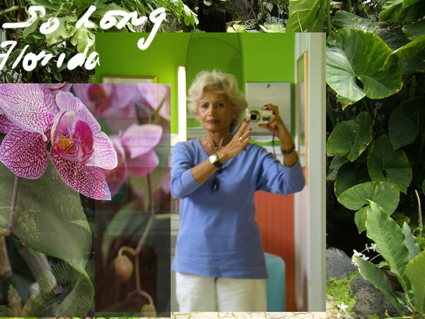 Multi image
