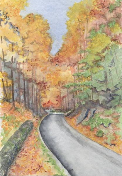 Cades Cove 2009