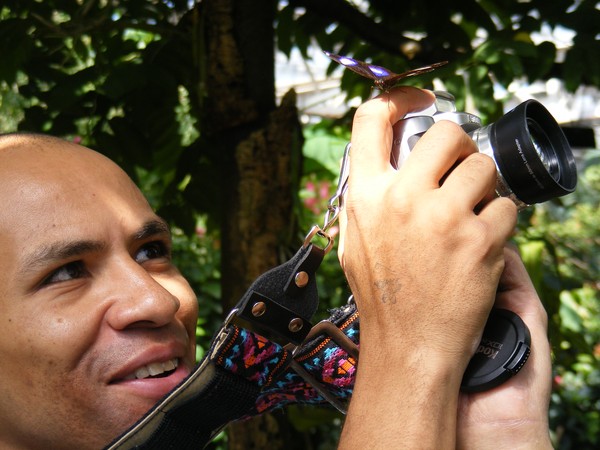 Family Fun With Butterflies