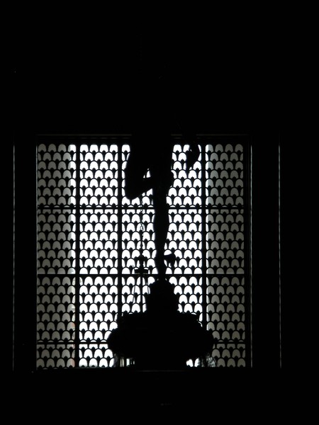 Silhouetted