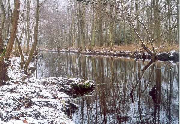 Dutch winterlandscape 2