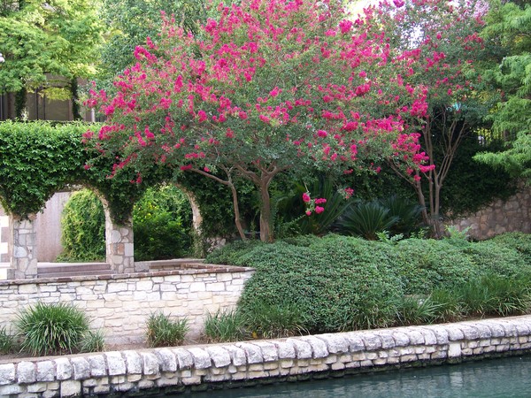 San Antonio 1