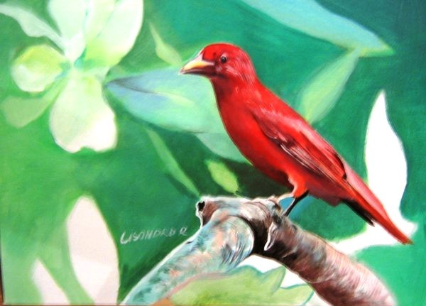 red tannager