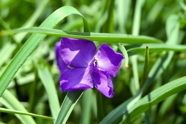 IMG_0378