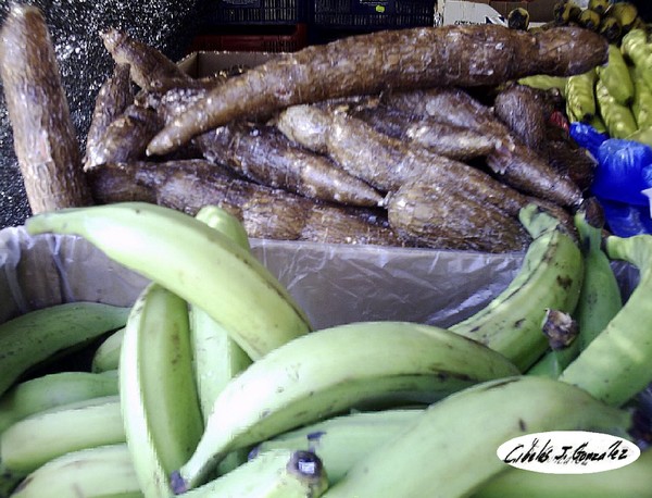 Plátanos Y Yuca / Plantains & Yucca