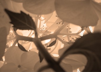 inside